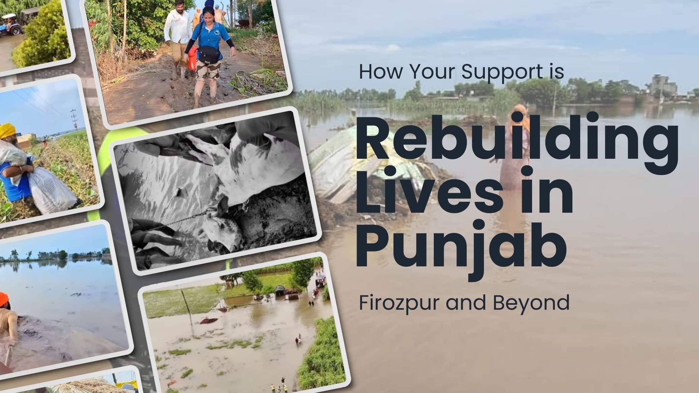 Punjab Flood 2025 relief efforts helping families affected by Beas and Sutlej river floods