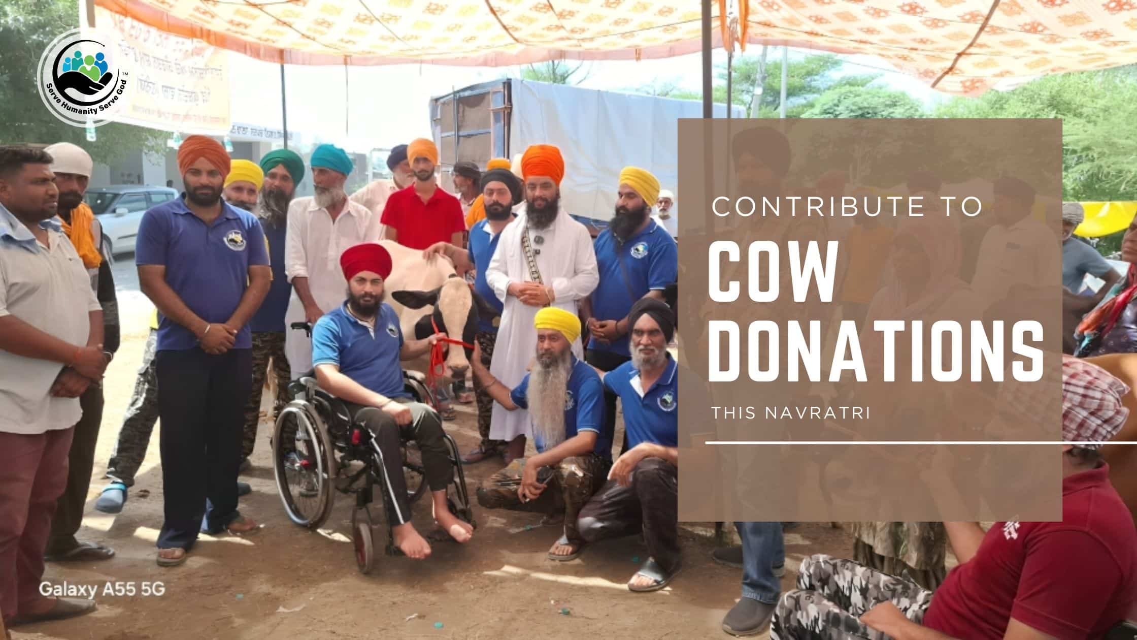 Post-Flood Relief in Punjab: Contribute to Cow Donations This Navratri