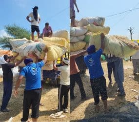 Untitled design (10)