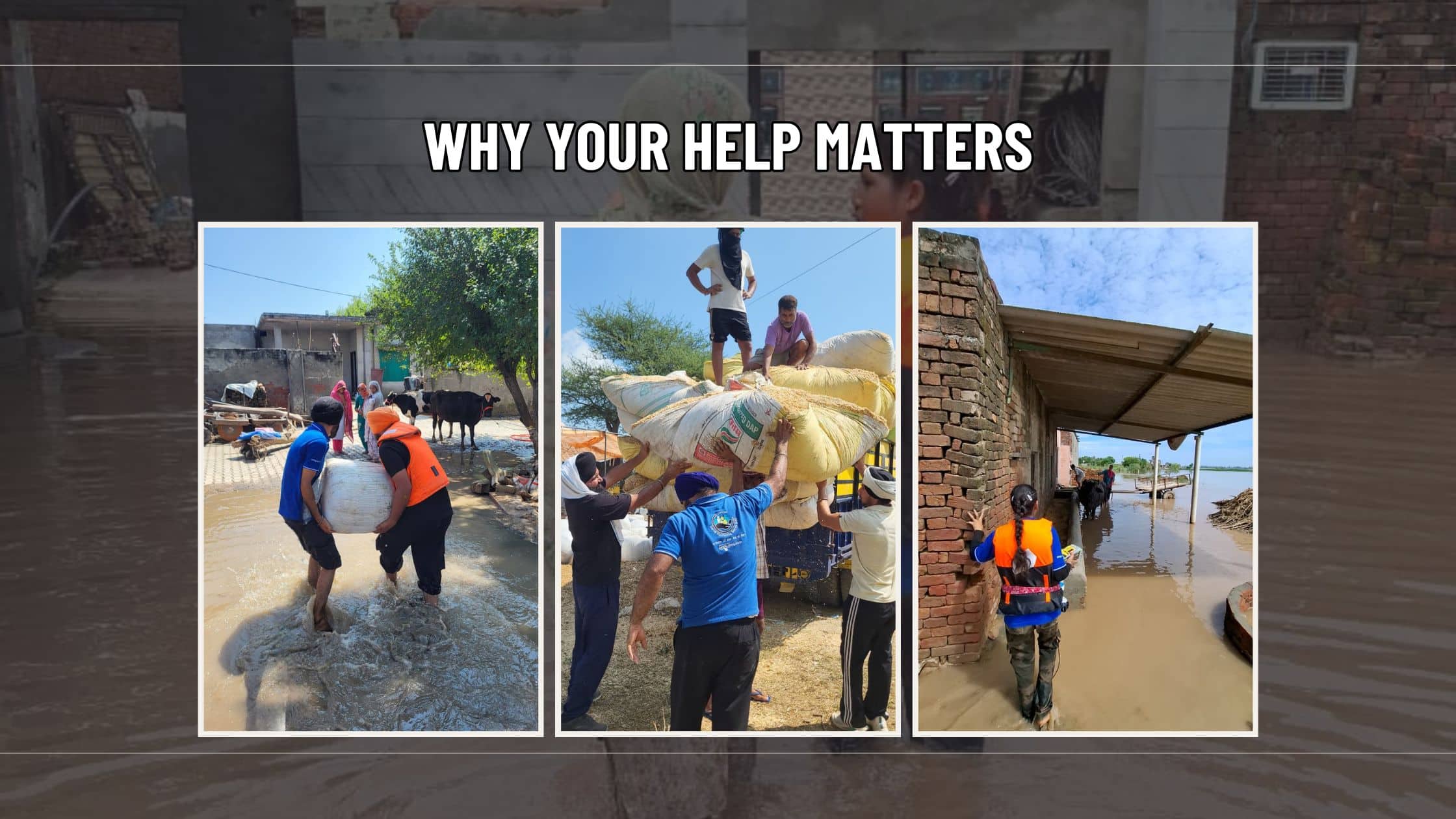 unjab Flood Relief 2025 | Livestock Donation for Farmers and Post-Flood Livelihood Recovery